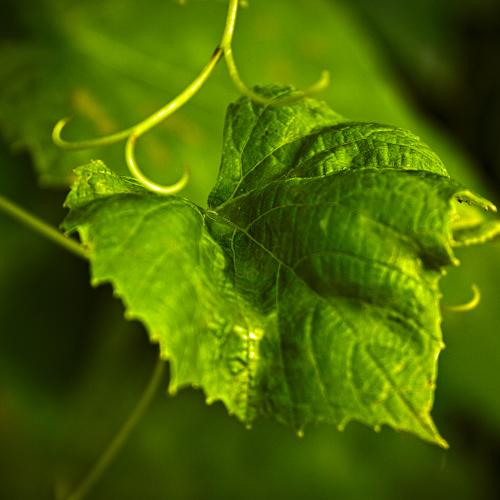 Photo #3573749