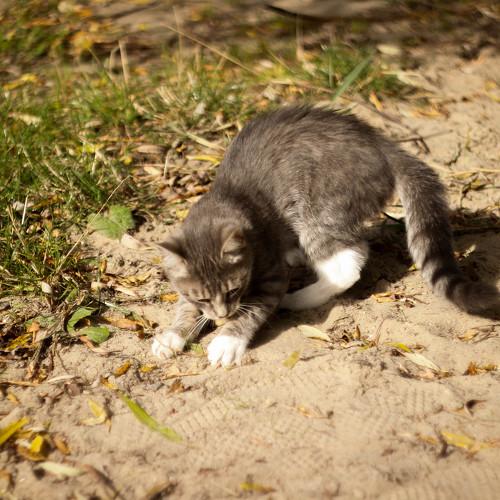 Photo #3573755