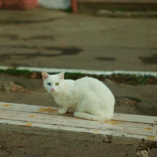 Photo #3573757