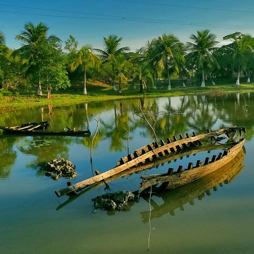 Photo #3573812