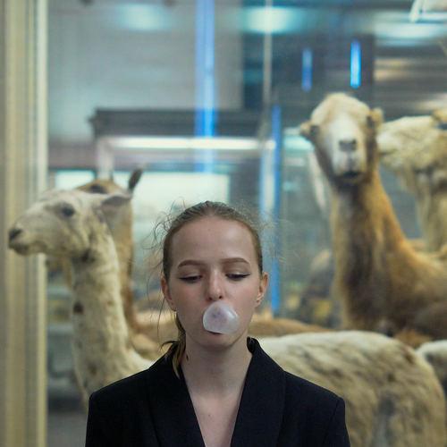 Photo #3573840