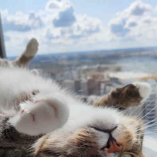 Photo #3574017