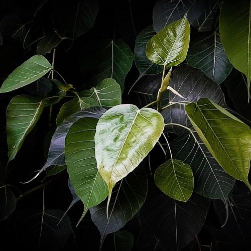 Photo #3574518