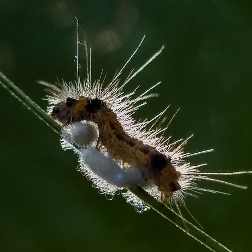 Photo #3574524