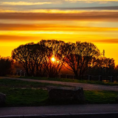 Photo #3574837