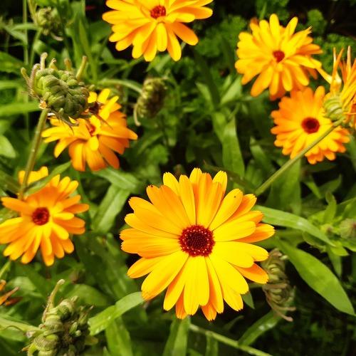 Photo #3574853