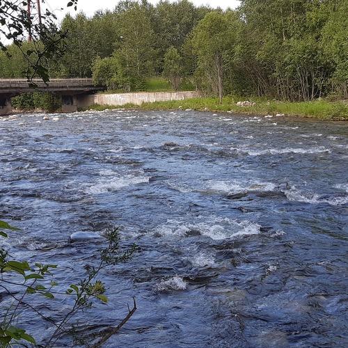 Photo #3574882