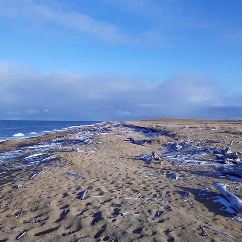 Photo #3574890