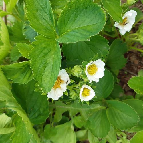 Photo #3574927