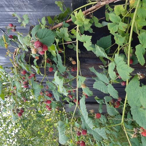 Photo #3574931