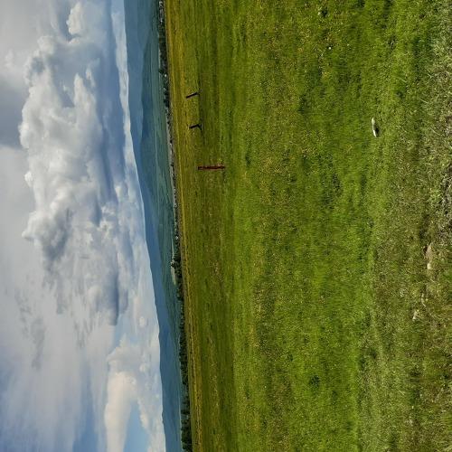 Photo #3574937