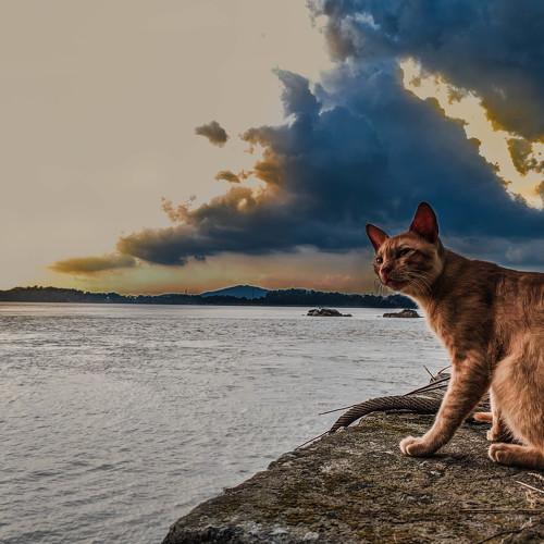 Photo #3574945