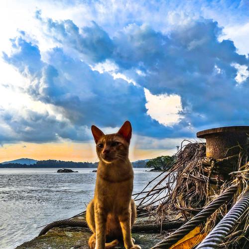 Photo #3574946