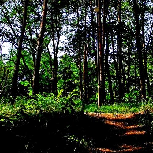 Photo #3575103
