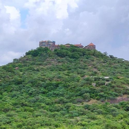 Photo #3575199