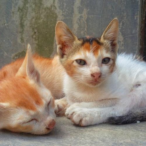 Photo #3575301