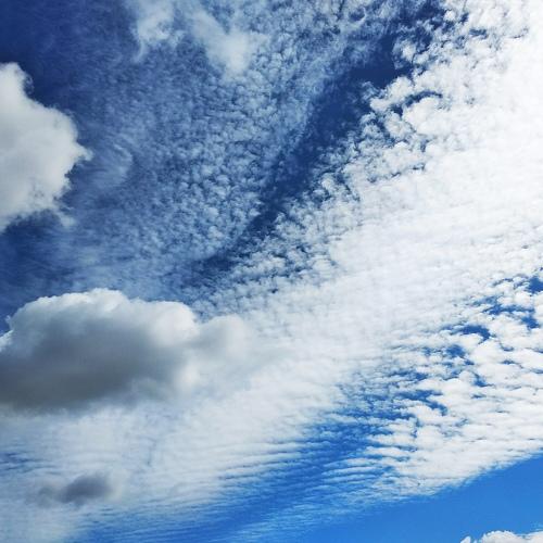 Photo #3575823