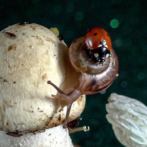 Photo #3575881