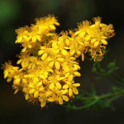 Photo #3576057