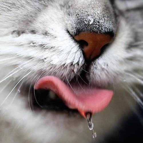 Photo #3576331