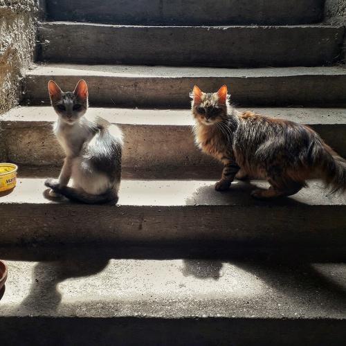 Photo #3576451