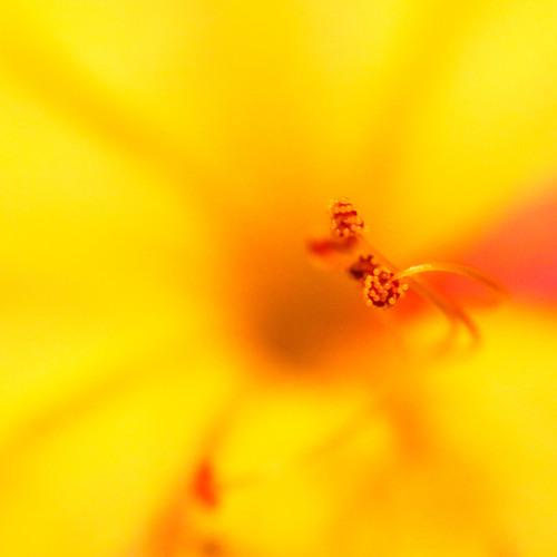 Photo #3576612