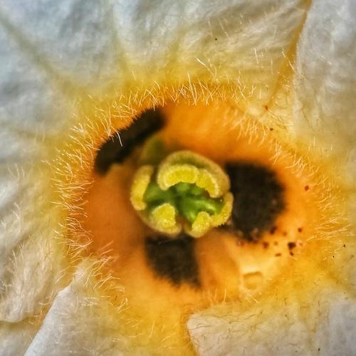 Photo #3576614