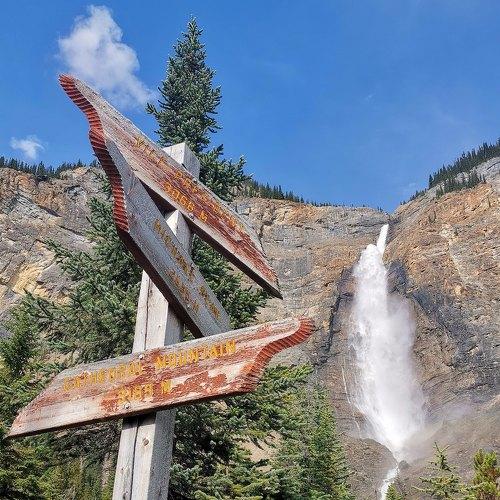 Photo #3576708