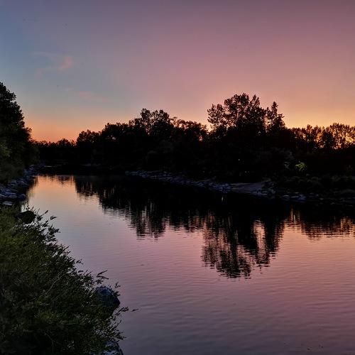Photo #3576710