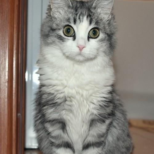 Photo #3576869