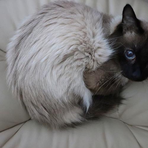 Photo #3577002