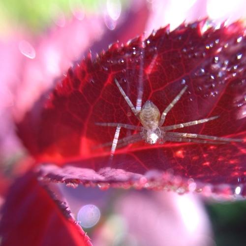 Photo #3577162