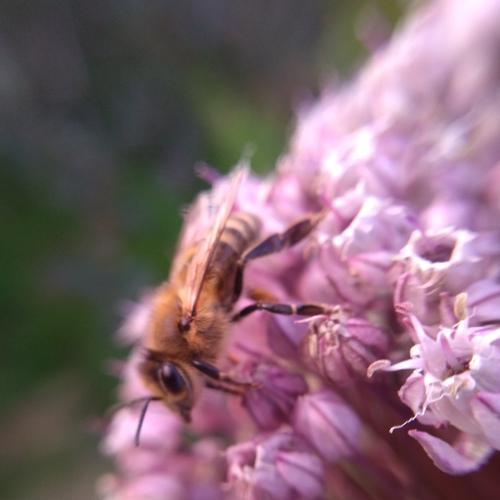 Photo #3577168