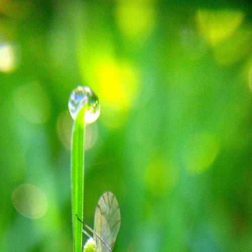 Photo #3577227