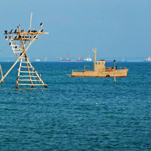 Photo #3577308