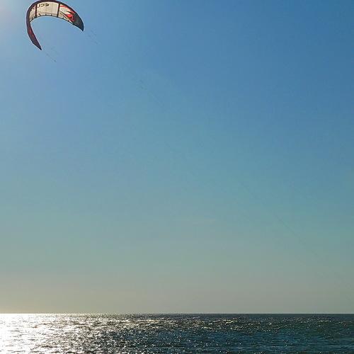 Photo #3577309