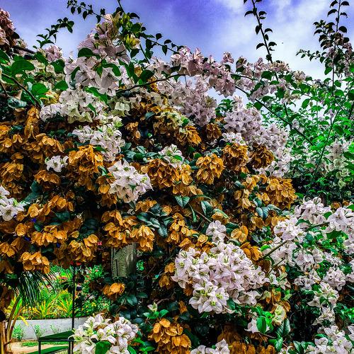 Photo #3577591