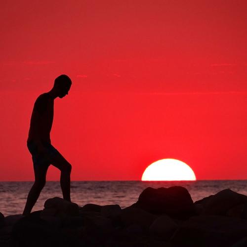 Photo #3577648