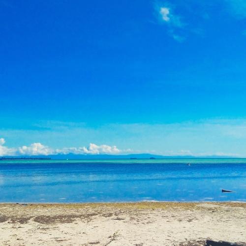 Photo #3577713