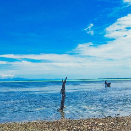 Photo #3577721