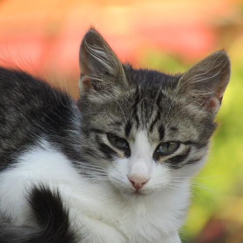 Photo #3577896