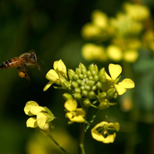 Photo #3578060