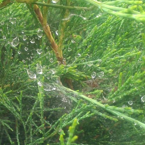 Photo #3578090