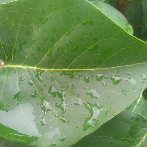 Photo #3578093