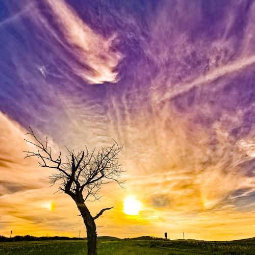 Photo #3578309