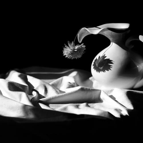 Photo #3578413