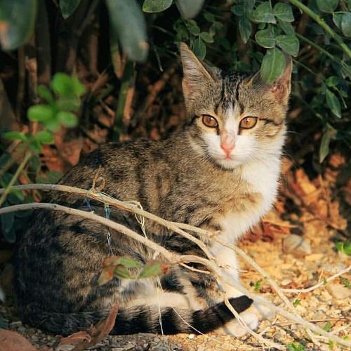 Photo #3578441