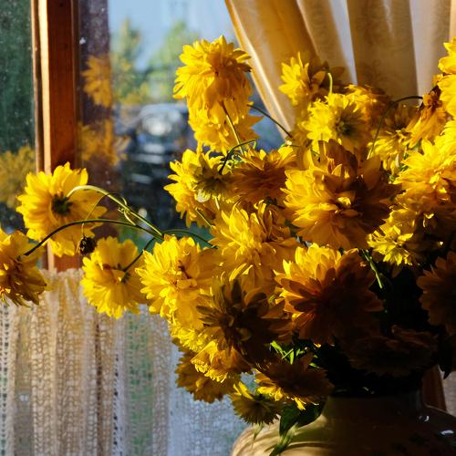 Photo #3578486