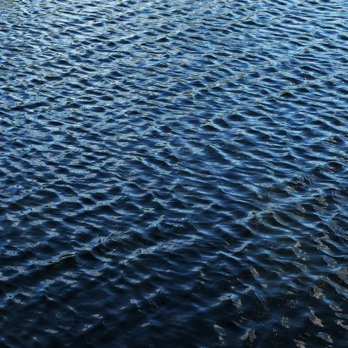 Photo #3578519