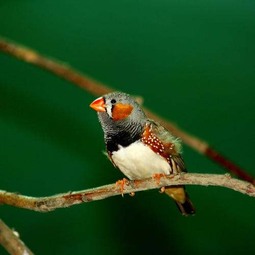 Photo #3578563